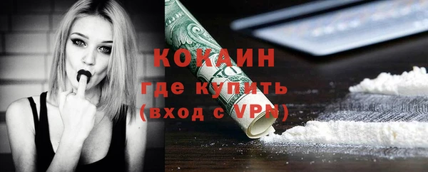 сатива Балахна