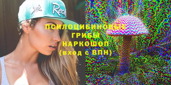 дживик Баксан