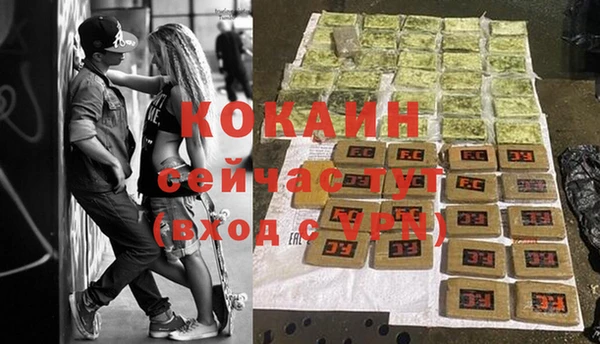 дживик Баксан
