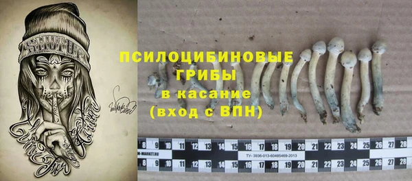 сатива Балахна
