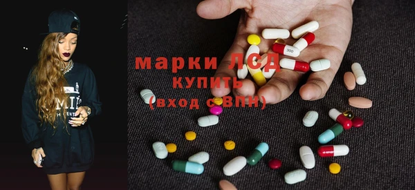сатива Балахна